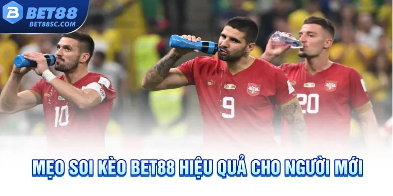 Cách soi kèo Bet88 hiệu quả cho người mới